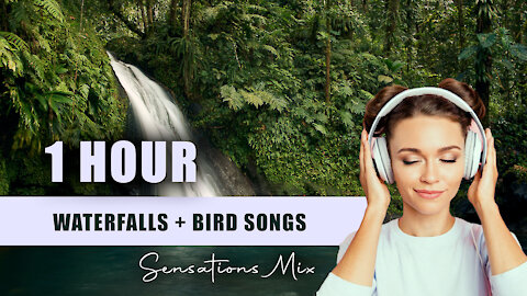 Soft Sounds Of Nature. 1 Hour of Birdsong and the sound of waterfalls
