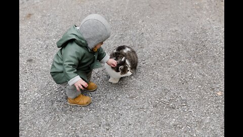 Cats Meeting Babies For The FIRST Time Compilation