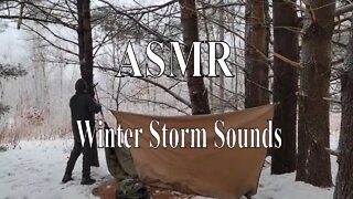 ASMR - Winter Hammock Camping - Snow Storm Camping - Winter Storm Sounds