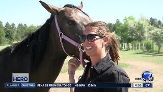 7Everyday Hero: Jacqui Avis is giving horses a second chance at life