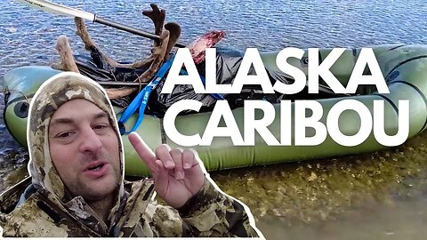 DIY Caribou Hunt in Alaska!