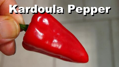 ⟹ Kardoula Pepper | Capsicum annuum | Pod Review