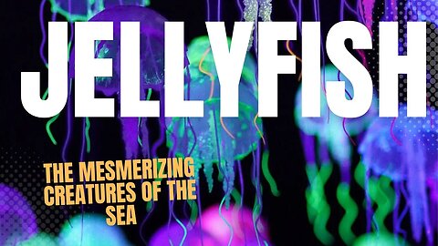 Discovering the Mysterious World of Jellyfish