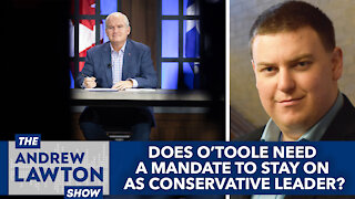 Does Erin O'Toole need a mandate to stay on as Conservative leader?