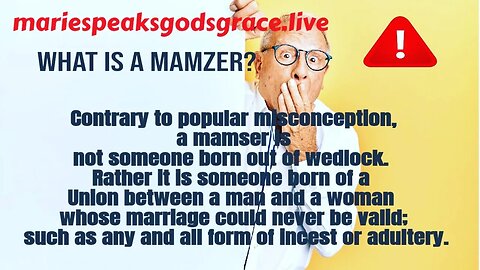 Is mamzer a bastard? No, this is why dictionaries and unbias proper education matter. #lookitup