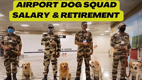 Airport Dog squad Salary & Retirement