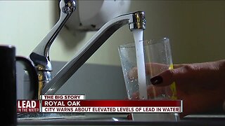 Elevated levels of lead found in Royal Oak drinking water