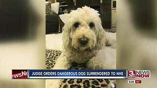 Judge orders dangerous dog surrendered to NHS