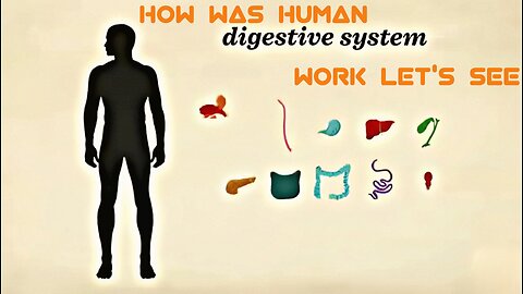 How Your Digestive System Works | Digestive System Explained"