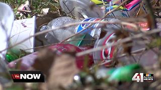 Illegal dumping cameras being stolen, damaged