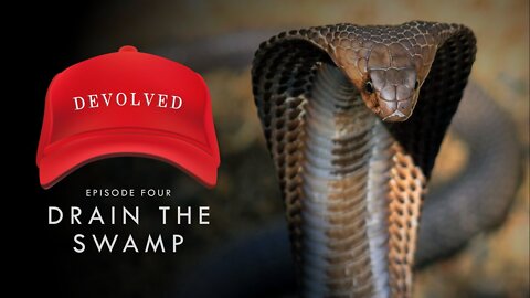 DEVOLVED | Vol 4 - Drain the Swamp.