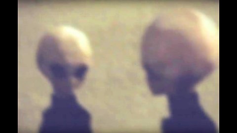 Authentic footage of Grey Aliens from crash site