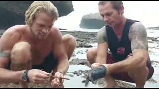 WATCH YOUR STEP! 😱 Dangers on the Beach! Sting Zone!! Fire Worms - Sea Urchins & Cone Shells!