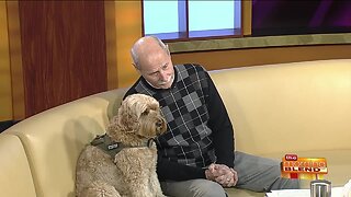 Empowering Veterans Through Service Dog Training