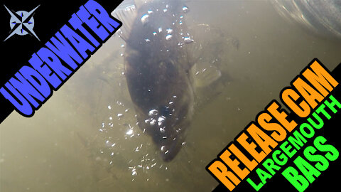 Underwater Slow Motion Largemouth Bass Release with GoPro Hero 7 While Kayak Pike & Bass Fishing