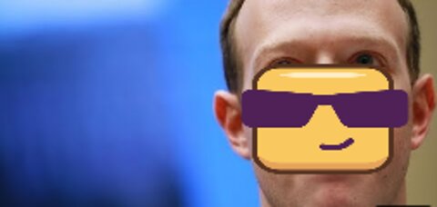 METABERG? | Facebook censoring ‘completely against the constitution’