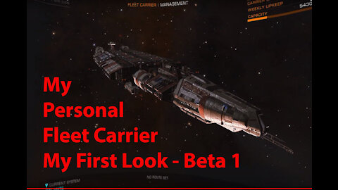 Elite Dangerous: My Personal Fleet Carrier-My First Look-Purchase Tritium-Beta 1-[00009]