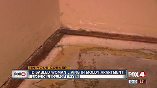 Woman struggling to live in moldy apartment in Fort Myers