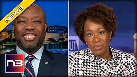 MUST SEE! Tim Scott UNLEASHES on MSNBC’s Joy Reid