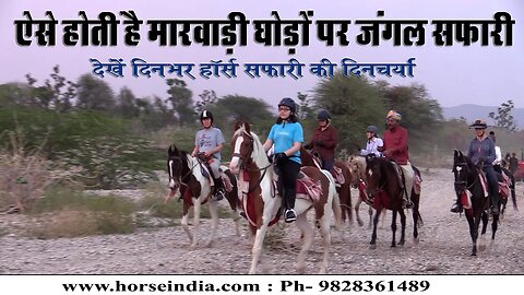 ऐसे होती है हॉर्स सफारी Horse Safari by Dr Ajeet Singh Rao of Horse India Narlai |