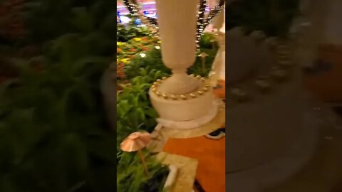 Ares Jack Russell visits Wynn Hotel Vegas beautiful indoor garden