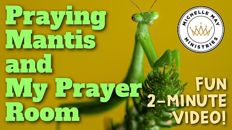 Praying Mantis and My Prayer Room