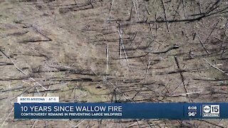 Controversy remains in preventing large wildfires after Wallow Fire