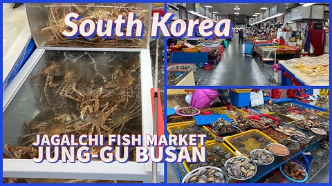 Jagalchi Fish Market Jung-gu Busan - Largest Seafood Market in Korea - 2023