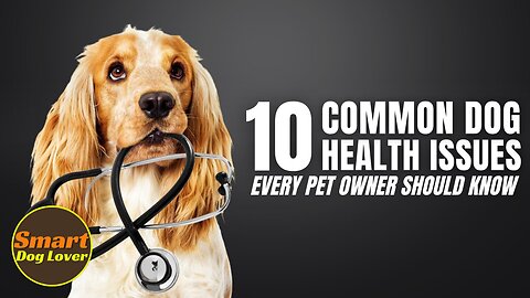 10 Common Dog Health Issues Every Pet Owner Should Know | Dog Training Tips