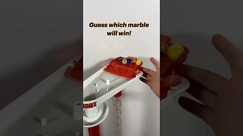 Guess which marble will win the #marblerace | Premier Marble Racing