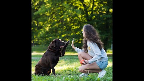 Training your best-friend : Dog