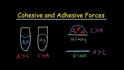 Cohesive and Adhesive Forces of Water