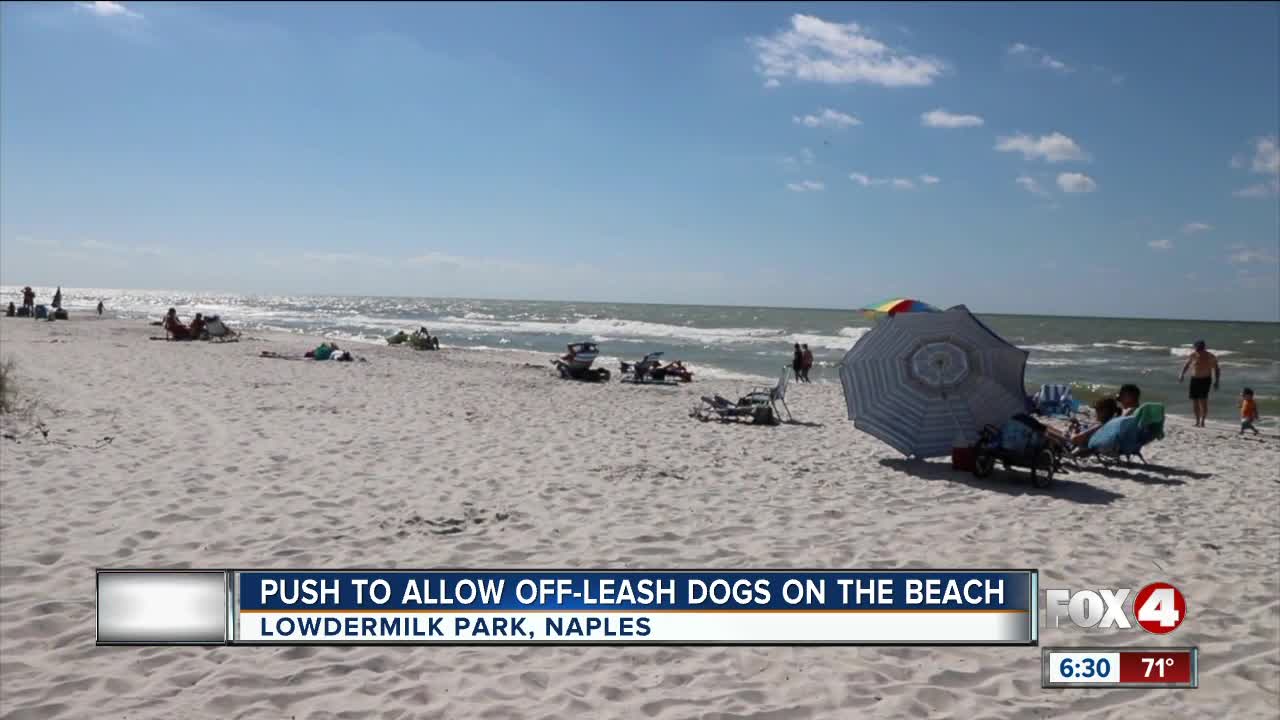 Naples seeks resident input on proposed dog beach