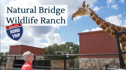 Discover Austin: Natural Bridge Wildlife Ranch - Episode 80