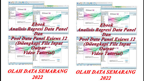 Ebook Analisis Regresi Data Panel Dan Pool Data Panel Eviews 12