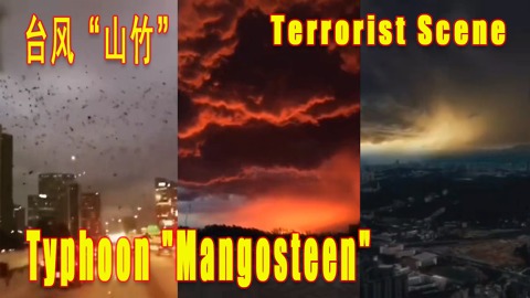 Horror live broadcast of typhoon "Mangosteen" from China！🔵From East | Lala Lay