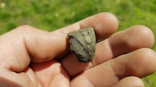 Metal Detecting - Digging old Rings