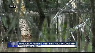 Mosquito carrying West Nile virus found in Twin Falls County