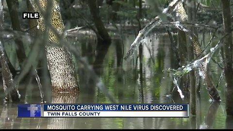 Mosquito carrying West Nile virus found in Twin Falls County