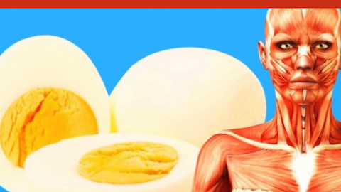 2 eggs per day will result in these 7 effects