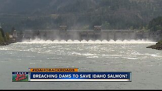 Saving Idaho's Salmon Series.mov