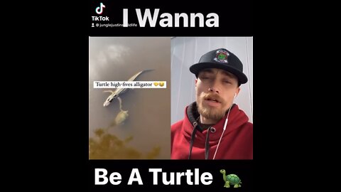 It’s Official Skwad I Wanna Be A Turtle!!!