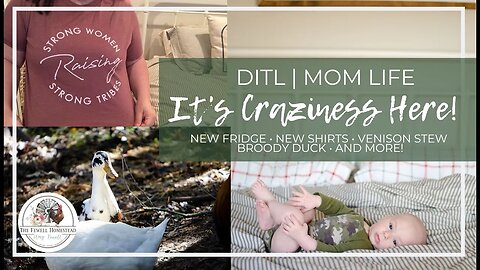 DITL Mom Life | What is Homemaking? | Winter Broody Duck