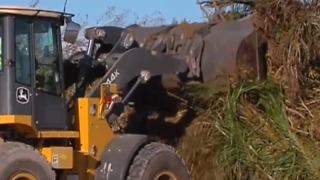 Piles of debris picked up in Palm Beach County as king tide poses new threat