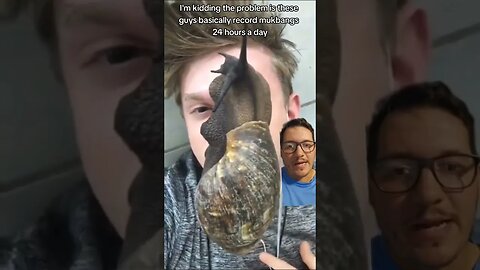 Giant Snails TAKING OVER Florida??