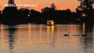 City Park swan boats now have lighted night rides