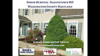Shrub Removal Smithsburg MD Landscaping Contractor