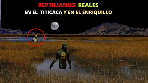 REPTILIANOS REALES Visto en el Titicaca y en lago Enriquillo