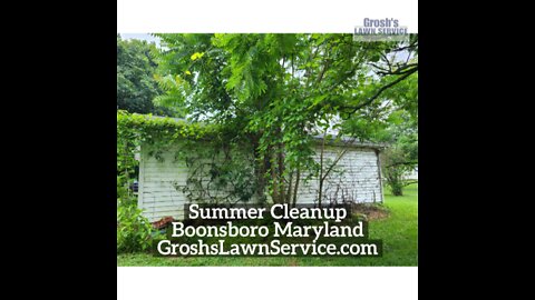 Summer Cleanup Boonsboro Maryland Landscaping Contractor