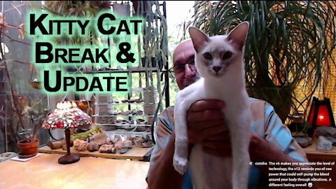 Kitty Cat Break & Update: What to Do with Grapes, F1 Grand Prix Racing & Faith & Morality [ASMR]